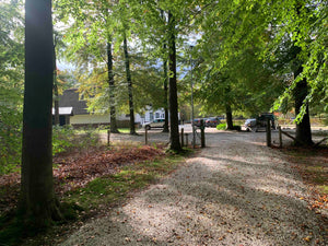Waarneming & Verslaglegging domein 1 en 2 (digitale leeromgeving)